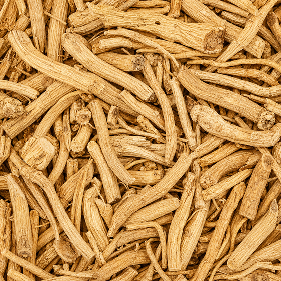 Astragalus Root